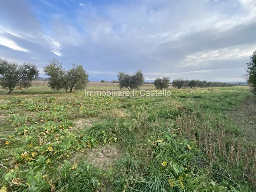 Immagine 1 di Terreno in vendita  in localita' marchetti a Castiglione Del Lago