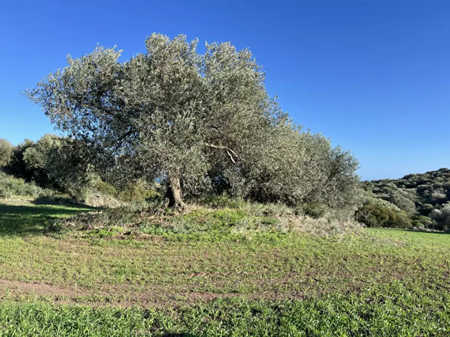 Immagine 4 di Terreno in vendita  a Sarroch