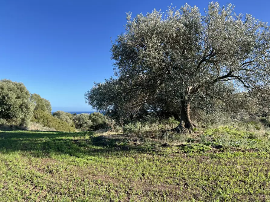 Immagine 5 di Terreno in vendita  a Sarroch