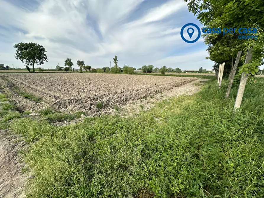 Immagine 3 di Terreno in vendita  in Via Boscovecchio 28 a Badia Polesine