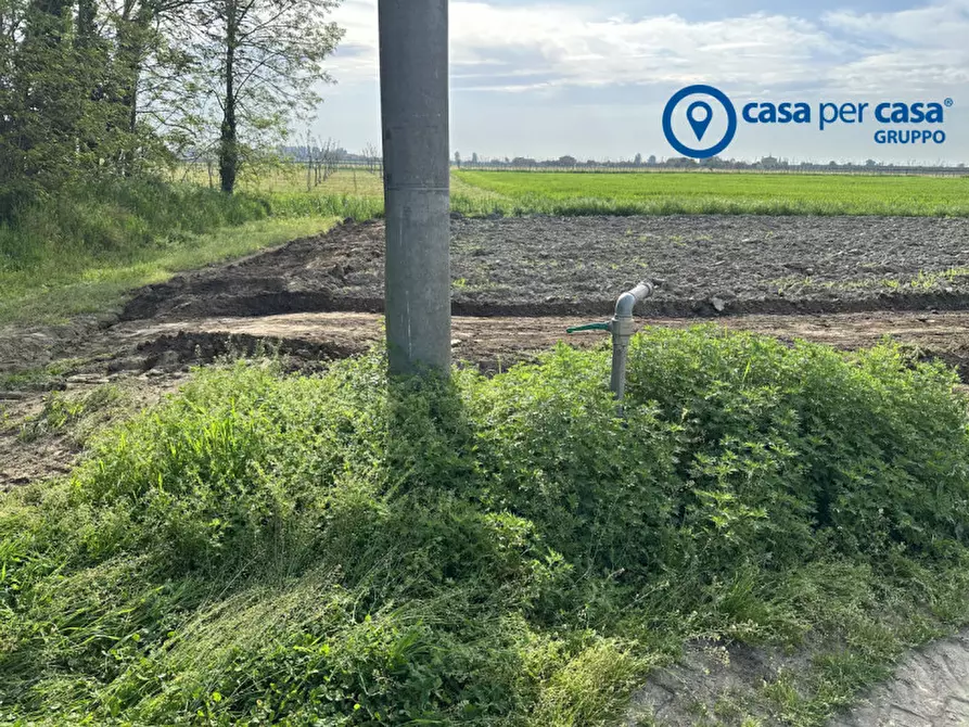 Immagine 4 di Terreno in vendita  in Via Boscovecchio 28 a Badia Polesine