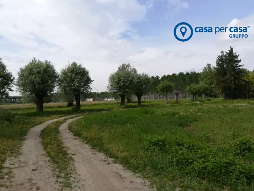 Immagine 7 di Terreno in vendita  in Via Boscovecchio 28 a Badia Polesine
