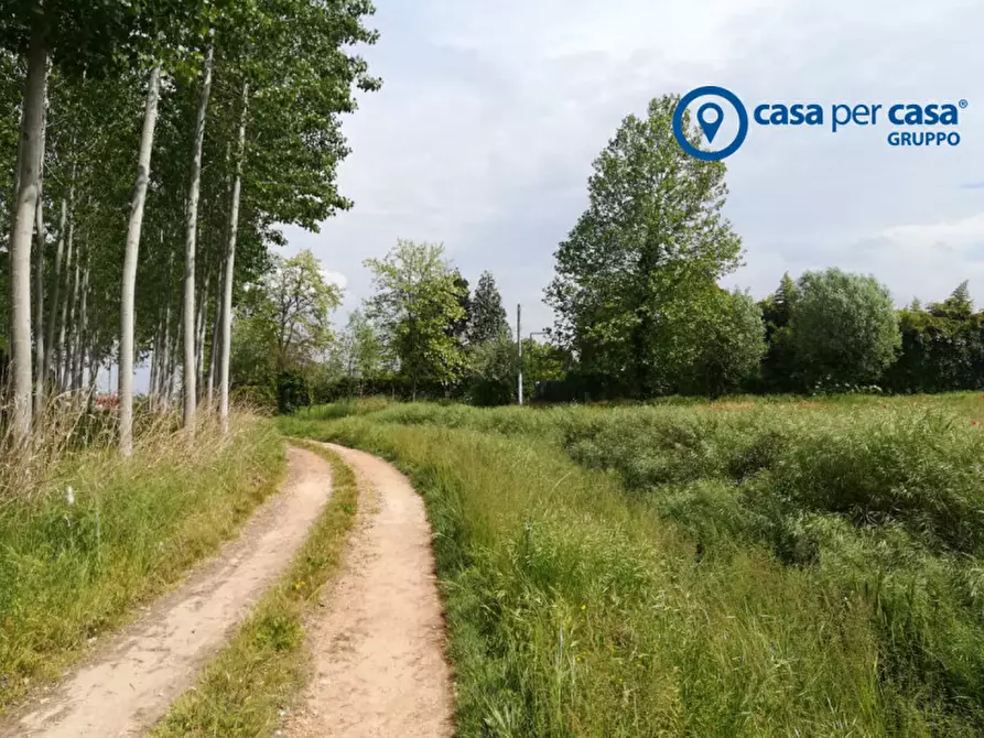 Immagine 8 di Terreno in vendita  in Via Boscovecchio 28 a Badia Polesine