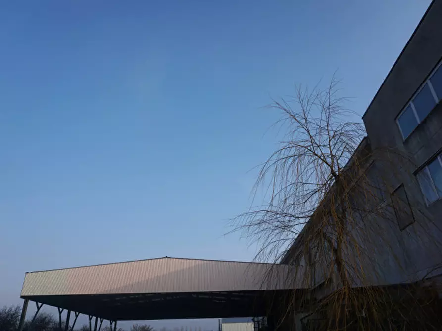 Immagine 4 di Capannone industriale in vendita  in Via Micheli, 20 a Torrile