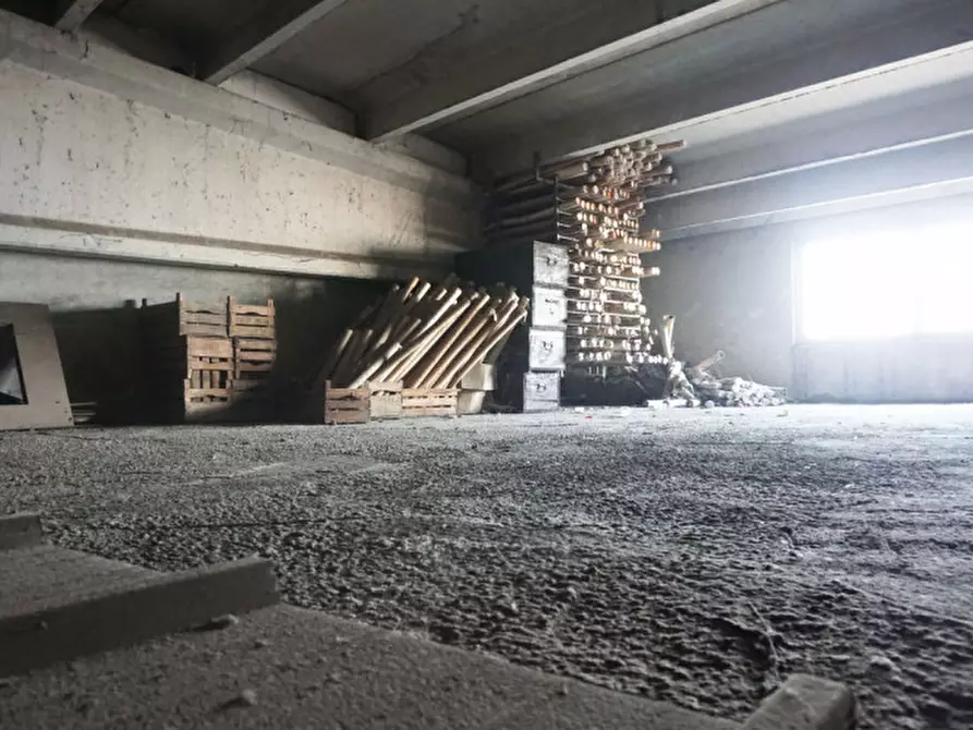 Immagine 25 di Capannone industriale in vendita  in Via Micheli, 20 a Torrile