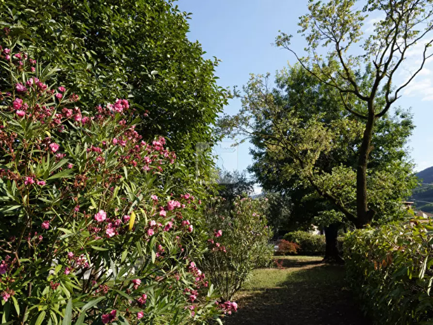 Immagine 4 di Villa in vendita  a Mori