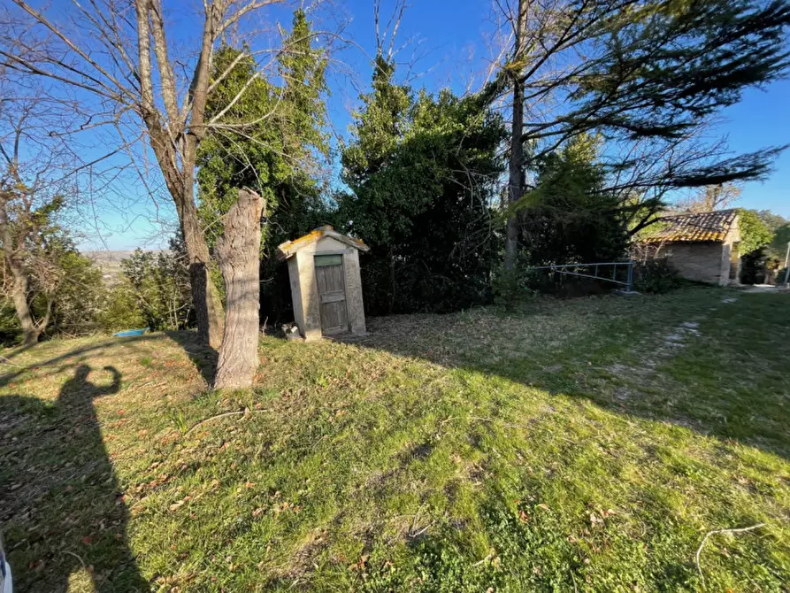 Immagine 3 di Rustico / casale in vendita  a Corinaldo