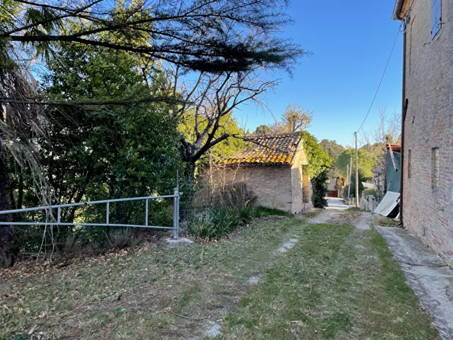Immagine 4 di Rustico / casale in vendita  a Corinaldo