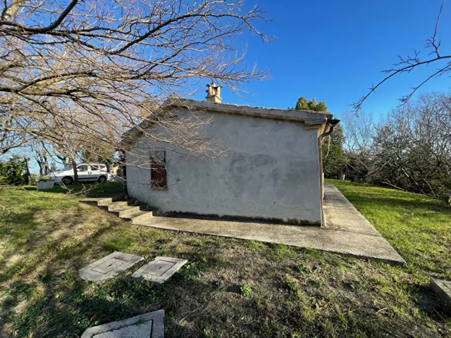 Immagine 8 di Rustico / casale in vendita  a Corinaldo