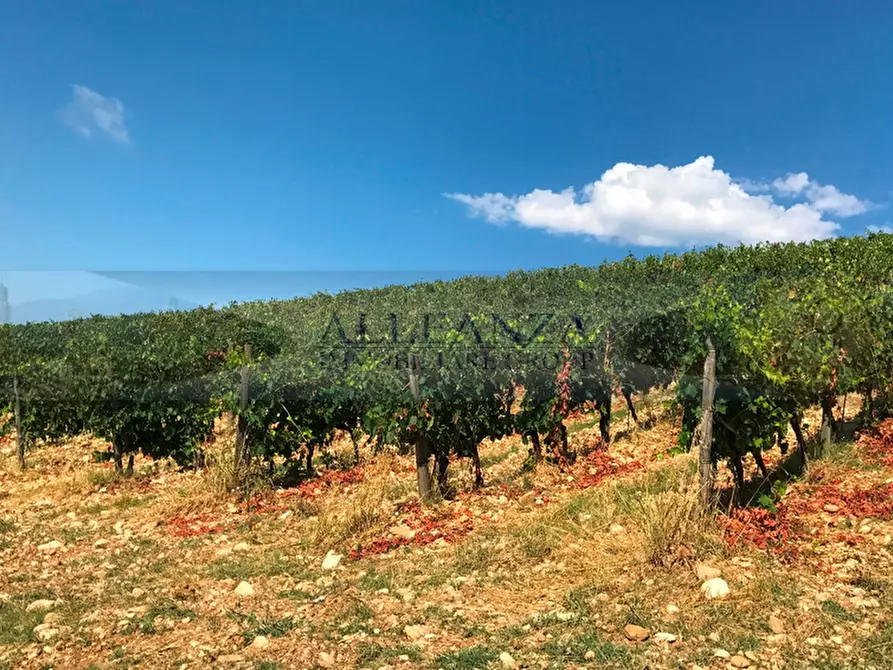 Immagine 1 di Terreno in vendita  in Via Dei Fossi 1/e a San Casciano In Val Di Pesa