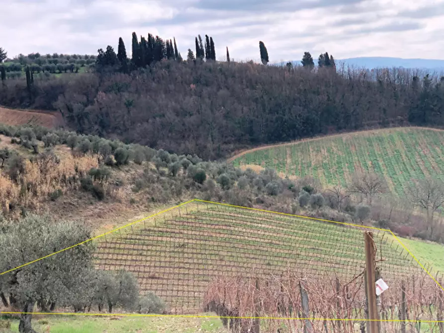 Immagine 3 di Terreno in vendita  in Via Dei Fossi 1/e a San Casciano In Val Di Pesa