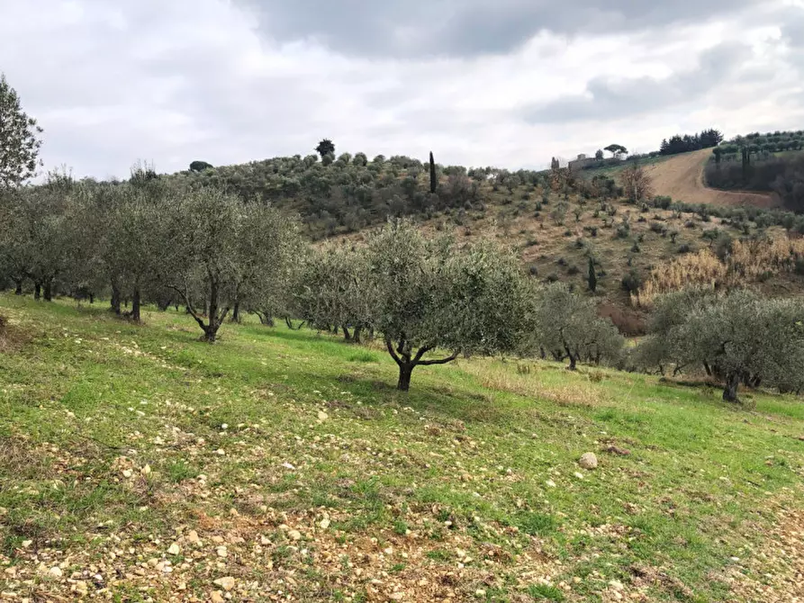 Immagine 4 di Terreno in vendita  in Via Dei Fossi 1/e a San Casciano In Val Di Pesa