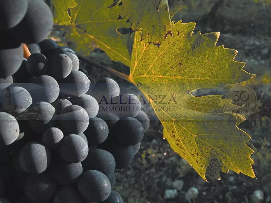 Immagine 5 di Terreno in vendita  in Via Dei Fossi 1/e a San Casciano In Val Di Pesa