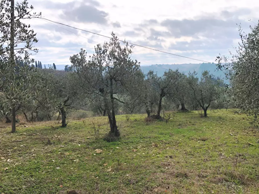 Immagine 6 di Terreno in vendita  in Via Dei Fossi 1/e a San Casciano In Val Di Pesa