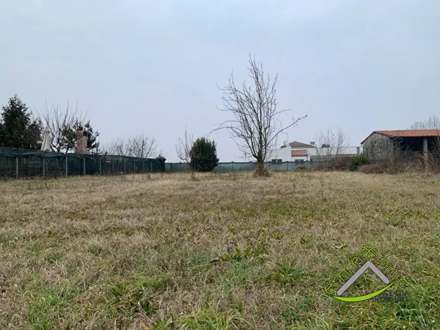 Immagine 3 di Terreno in vendita  in via galileo galilei a Campagna Lupia