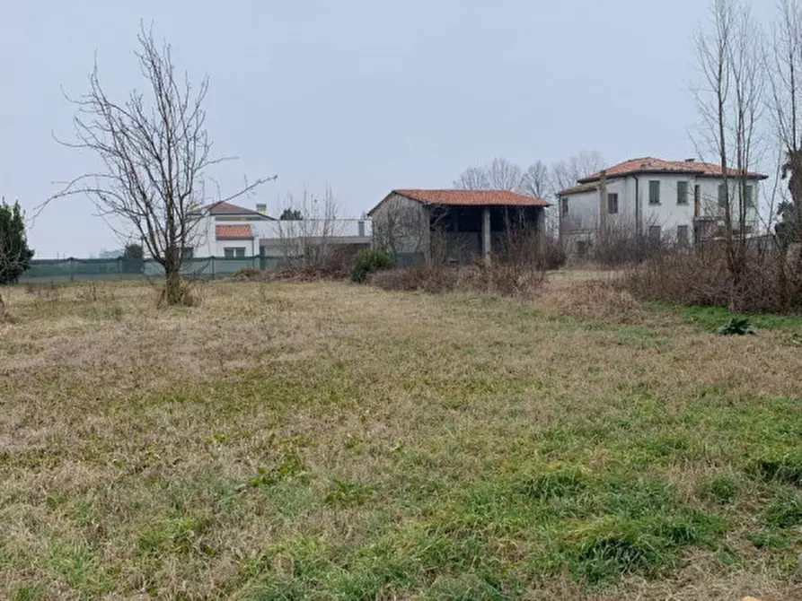Immagine 4 di Terreno in vendita  in via galileo galilei a Campagna Lupia