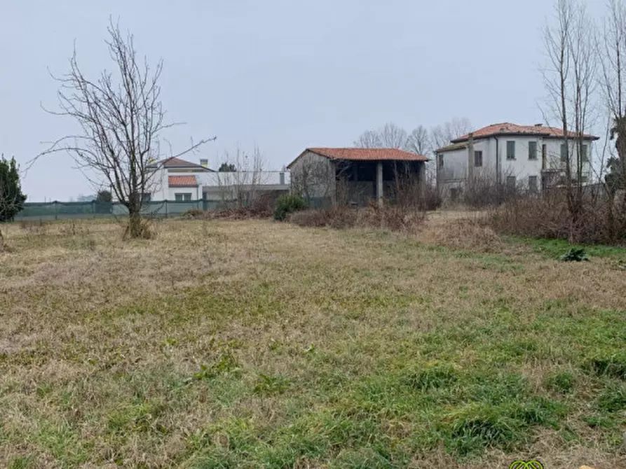 Immagine 3 di Terreno in vendita  in via galileo galilei a Campagna Lupia