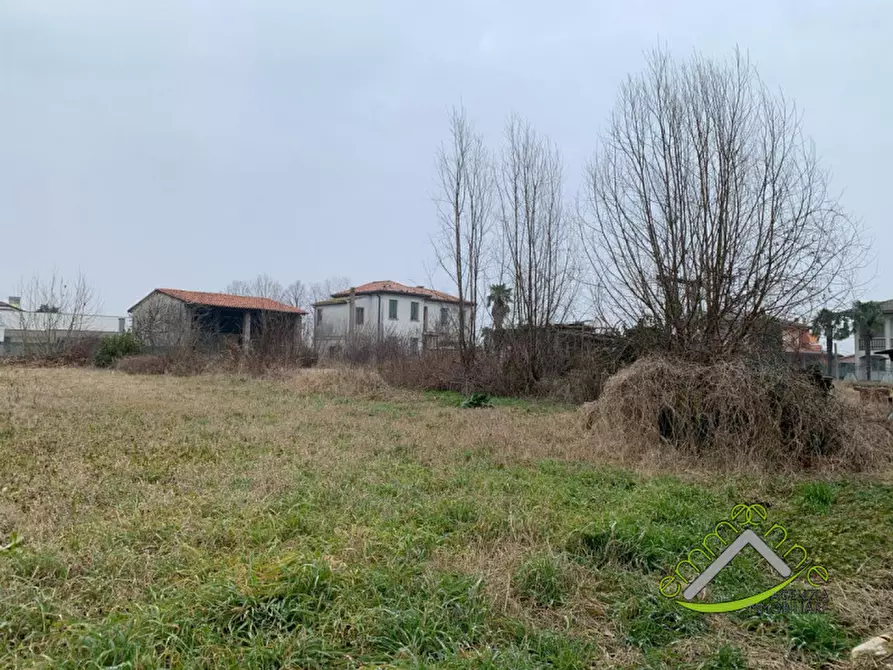 Immagine 4 di Terreno in vendita  in via galileo galilei a Campagna Lupia