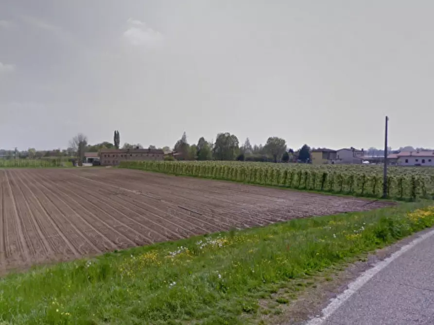 Immagine 2 di Terreno in vendita  a Pernumia