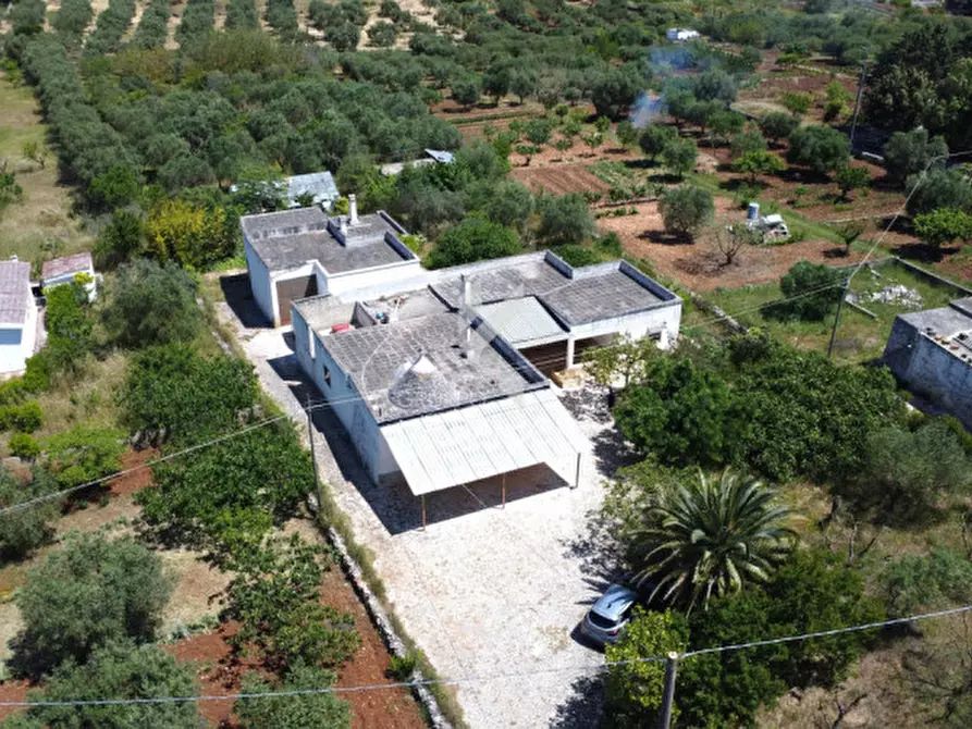 Immagine 3 di Rustico / casale in vendita  in contrada san domenico a Martina Franca