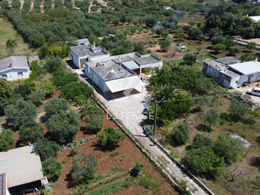 Immagine 4 di Rustico / casale in vendita  in contrada san domenico a Martina Franca