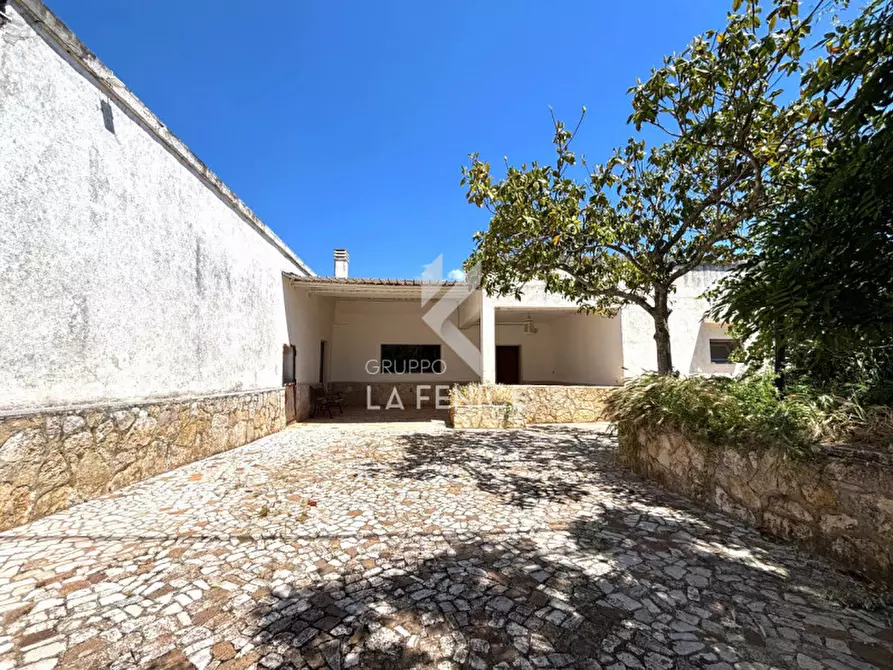 Immagine 9 di Rustico / casale in vendita  in contrada san domenico a Martina Franca