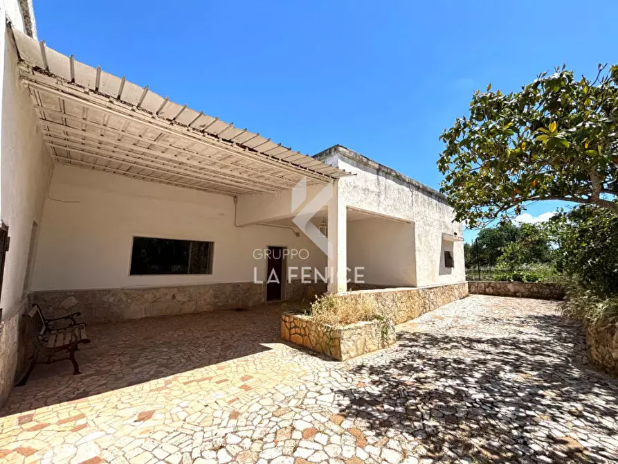 Immagine 10 di Rustico / casale in vendita  in contrada san domenico a Martina Franca