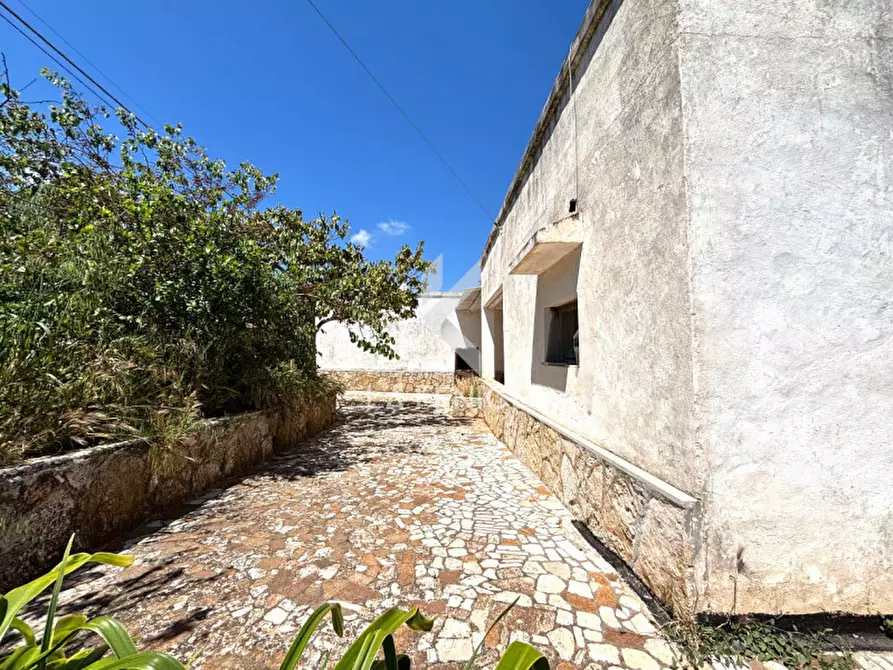 Immagine 50 di Rustico / casale in vendita  in contrada san domenico a Martina Franca