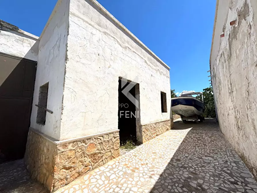 Immagine 51 di Rustico / casale in vendita  in contrada san domenico a Martina Franca