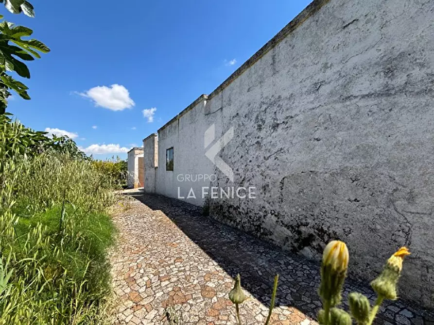 Immagine 60 di Rustico / casale in vendita  in contrada san domenico a Martina Franca