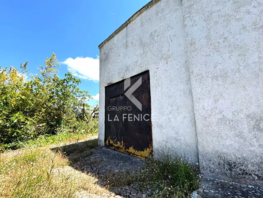 Immagine 61 di Rustico / casale in vendita  in contrada san domenico a Martina Franca