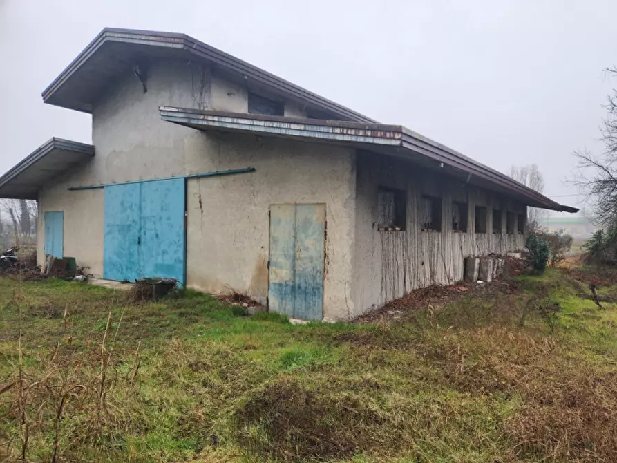 Immagine 3 di Capannone industriale in vendita  in Padova Granze di Camin a Padova