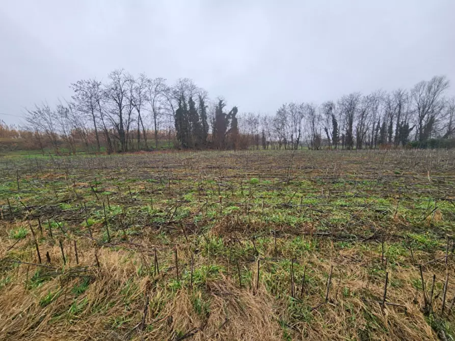 Immagine 8 di Capannone industriale in vendita  in Padova Granze di Camin a Padova