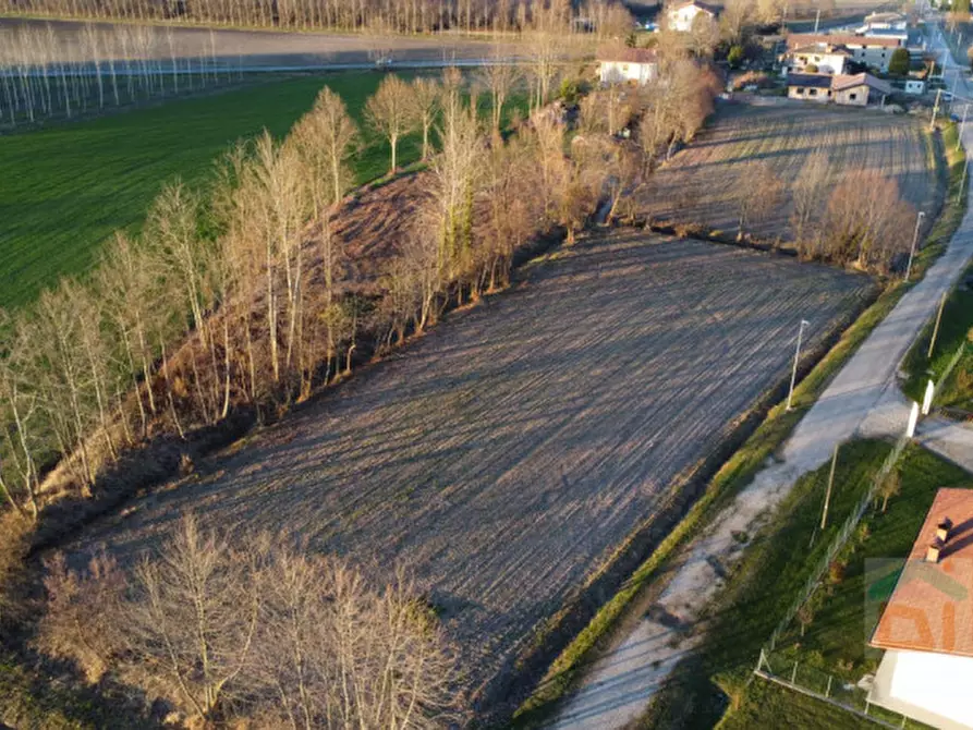 Immagine 4 di Terreno in vendita  in Via Lancieri d'Aosta a Porpetto