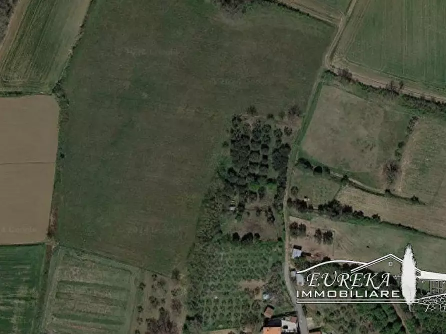 Immagine 5 di Terreno in vendita  in vaiano a Castiglione Del Lago