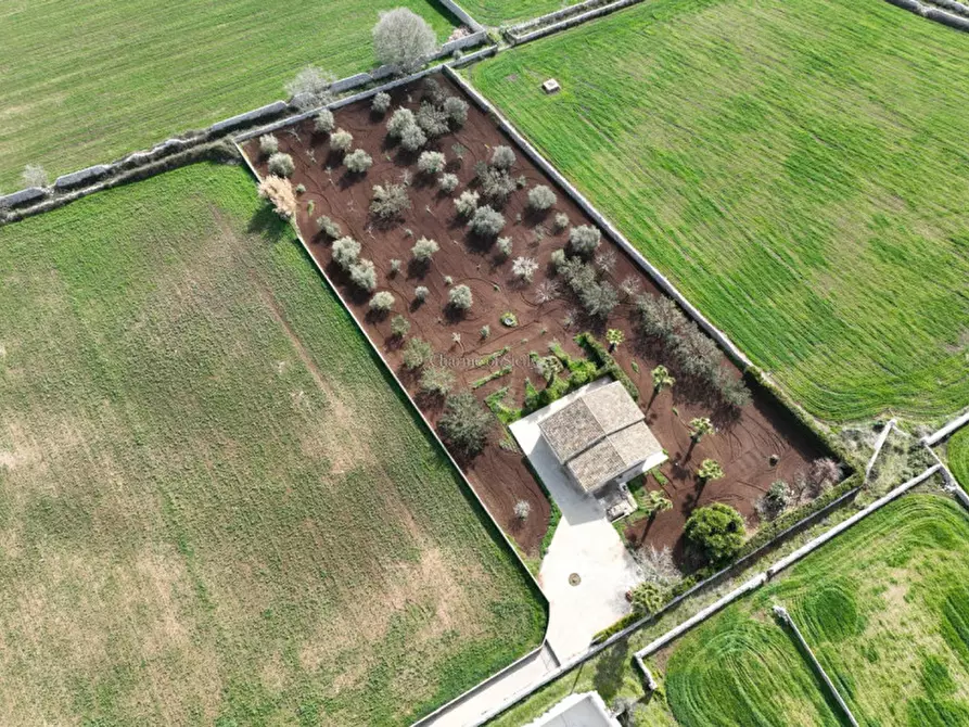 Immagine 3 di Casa indipendente in vendita  in Contrada Torre Cannata a Modica