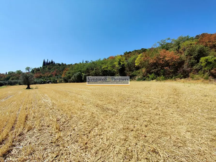 Immagine 4 di Terreno in vendita  in Via Fontanelle a Polpenazze Del Garda
