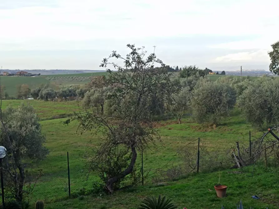 Immagine 17 di Appartamento in vendita  a Paciano