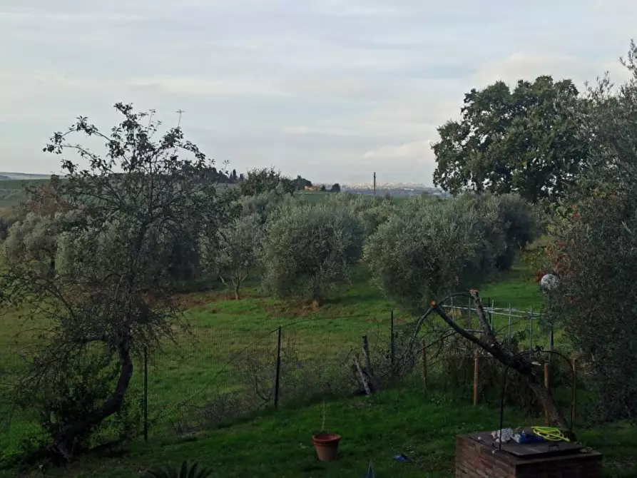 Immagine 19 di Appartamento in vendita  a Paciano