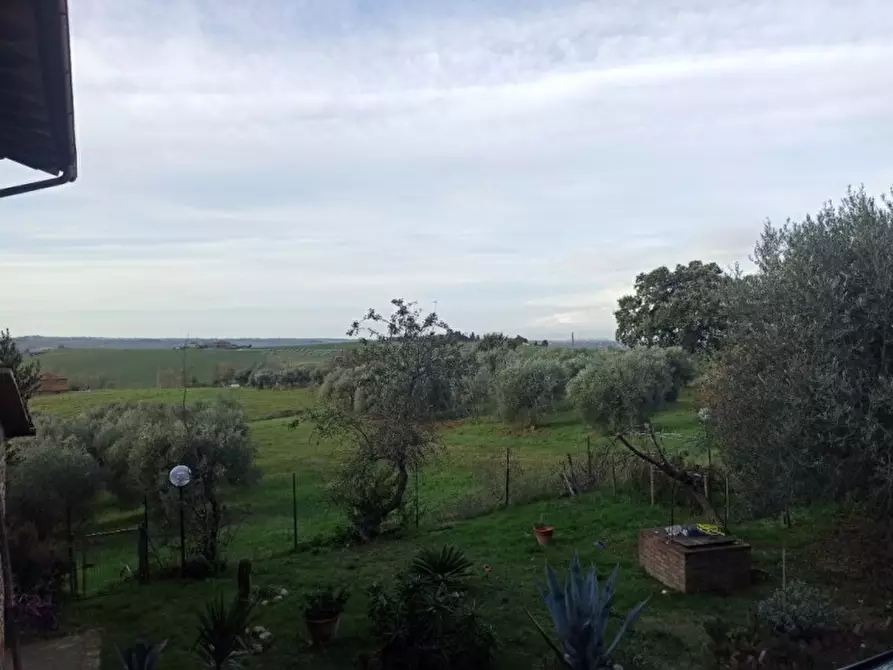 Immagine 20 di Appartamento in vendita  a Paciano