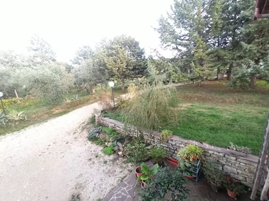 Immagine 21 di Appartamento in vendita  a Paciano