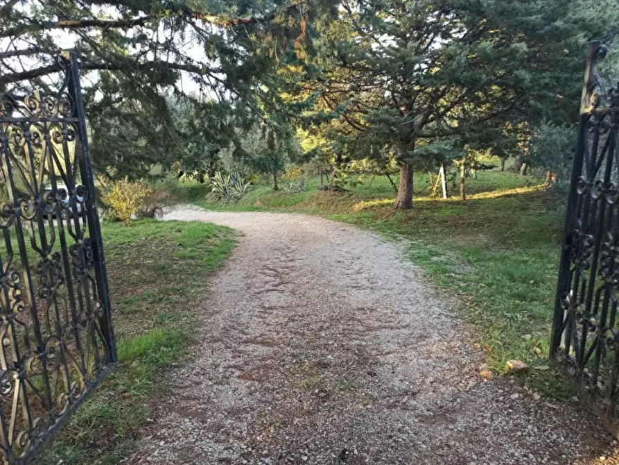 Immagine 22 di Appartamento in vendita  a Paciano