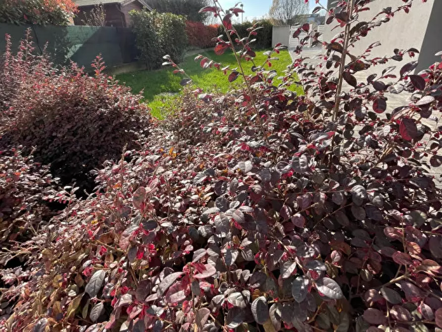 Immagine 18 di Appartamento in vendita  a Selvazzano Dentro