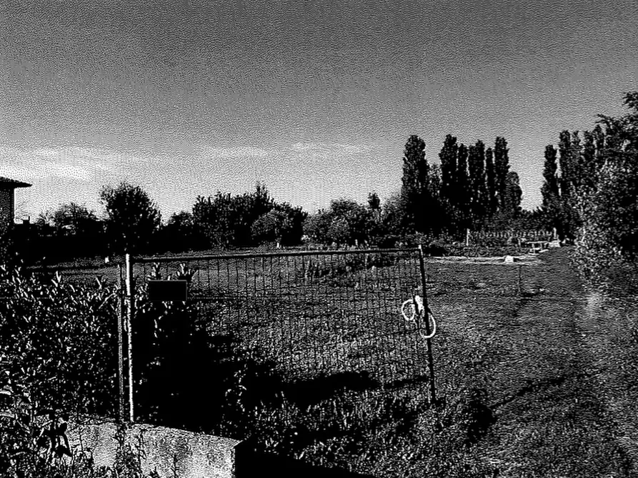 Immagine 1 di Terreno in vendita  in VIA DEL GIUBILEO SNC a Taglio Di Po