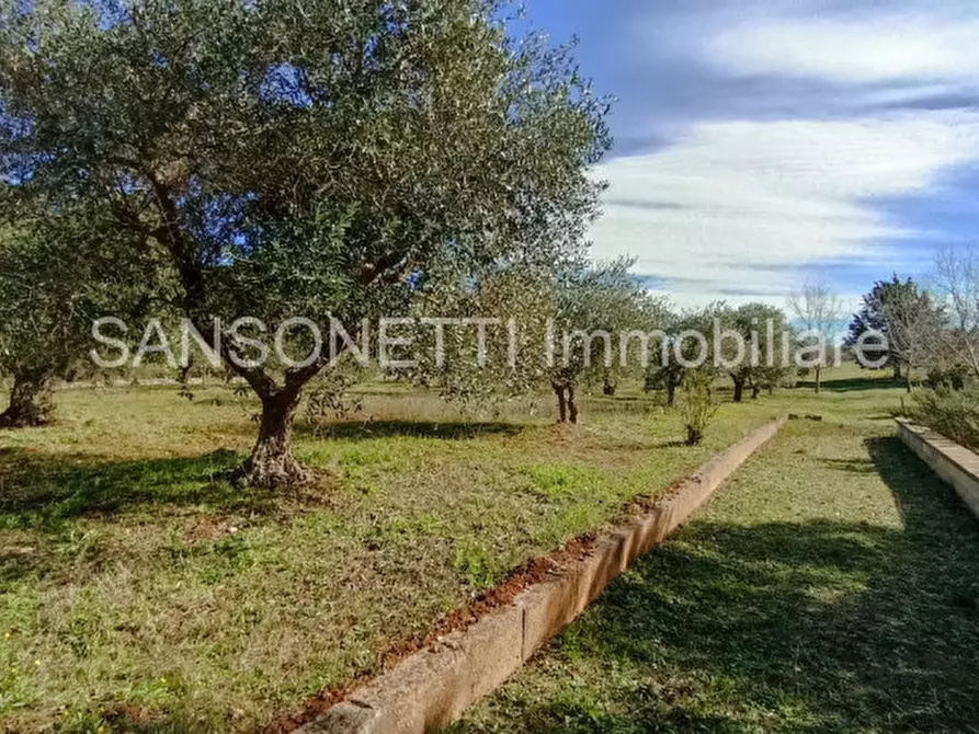 Immagine 32 di Rustico / casale in vendita  in JOGAJ a Ostuni