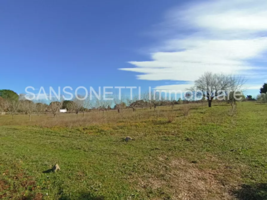 Immagine 33 di Rustico / casale in vendita  in JOGAJ a Ostuni