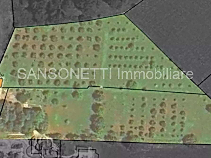 Immagine 36 di Rustico / casale in vendita  in JOGAJ a Ostuni