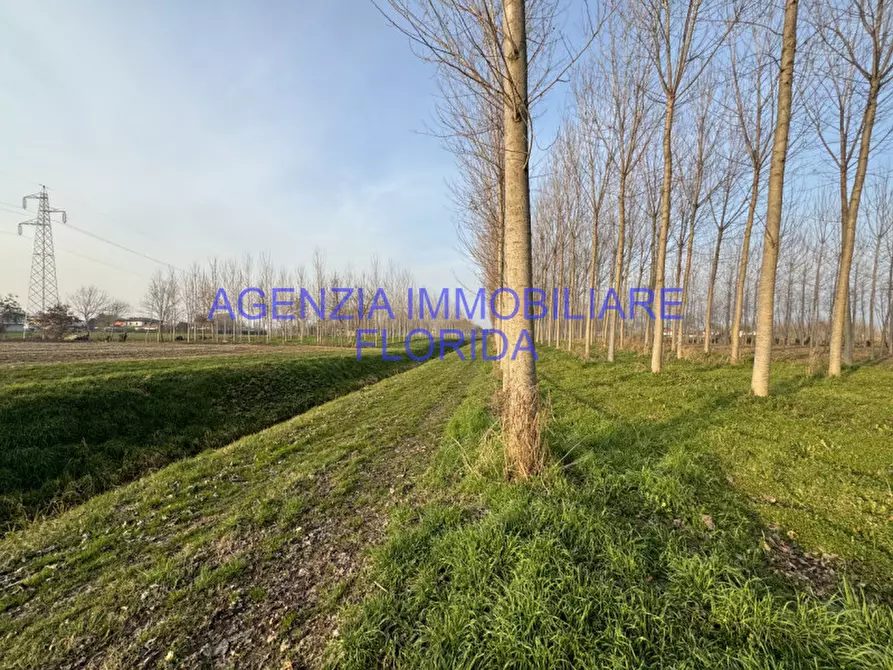 Immagine 2 di Terreno in vendita  a Camposampiero