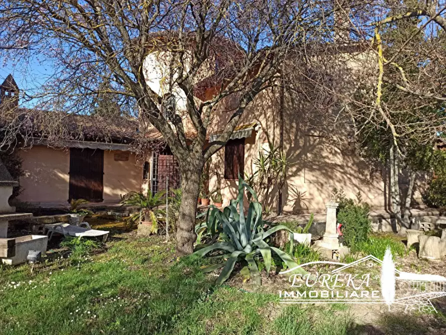 Immagine 27 di Villa in vendita  in Località Pineta a Castiglione Del Lago