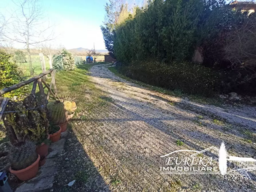 Immagine 31 di Villa in vendita  in Località Pineta a Castiglione Del Lago